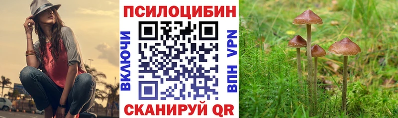 Псилоцибиновые грибы мухоморы  Егорьевск 