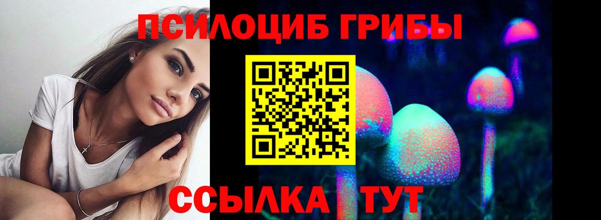 Псилоцибиновые грибы Psilocybine cubensis  Галлюциногенные грибы прущие грибы  Егорьевск 